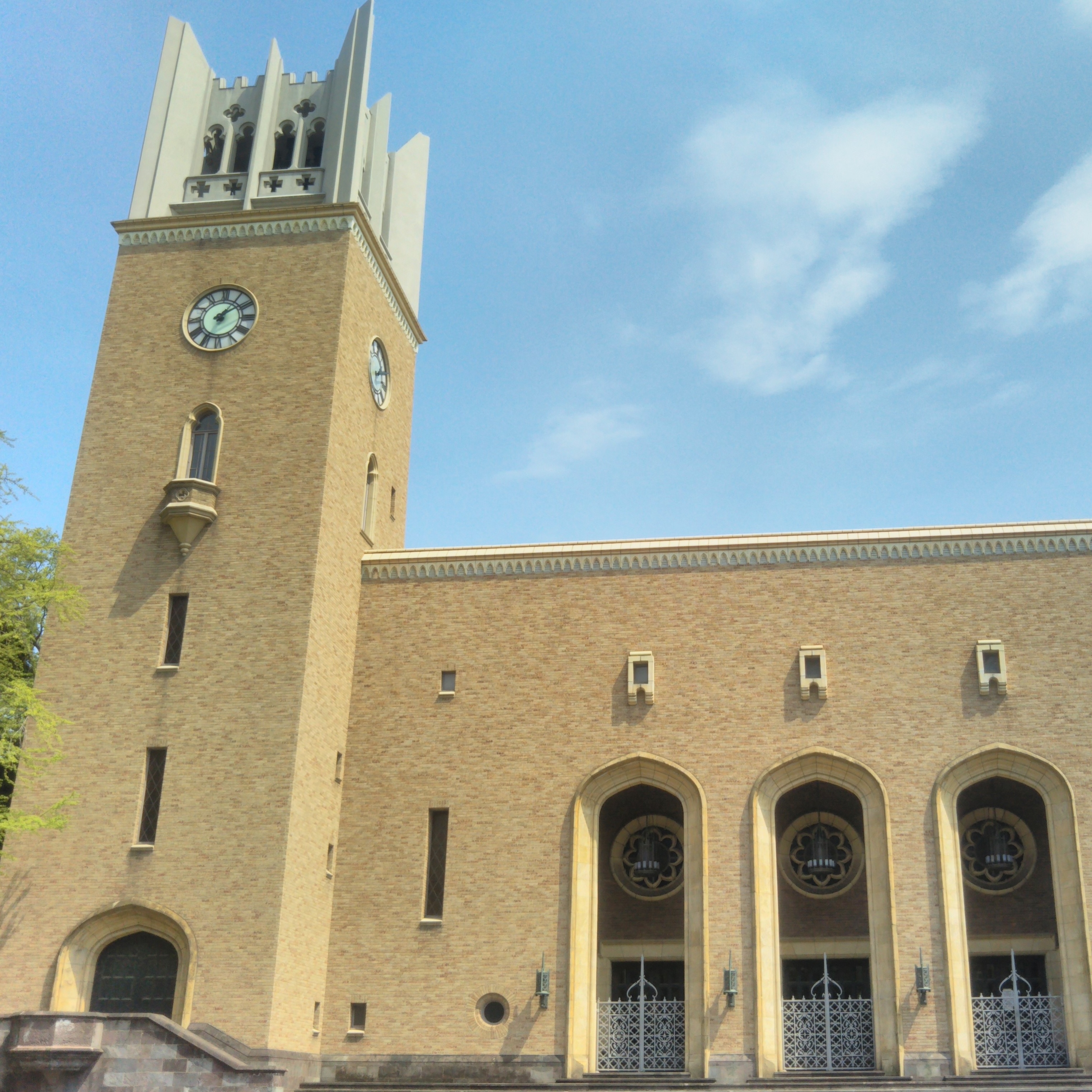 大学での取り組み